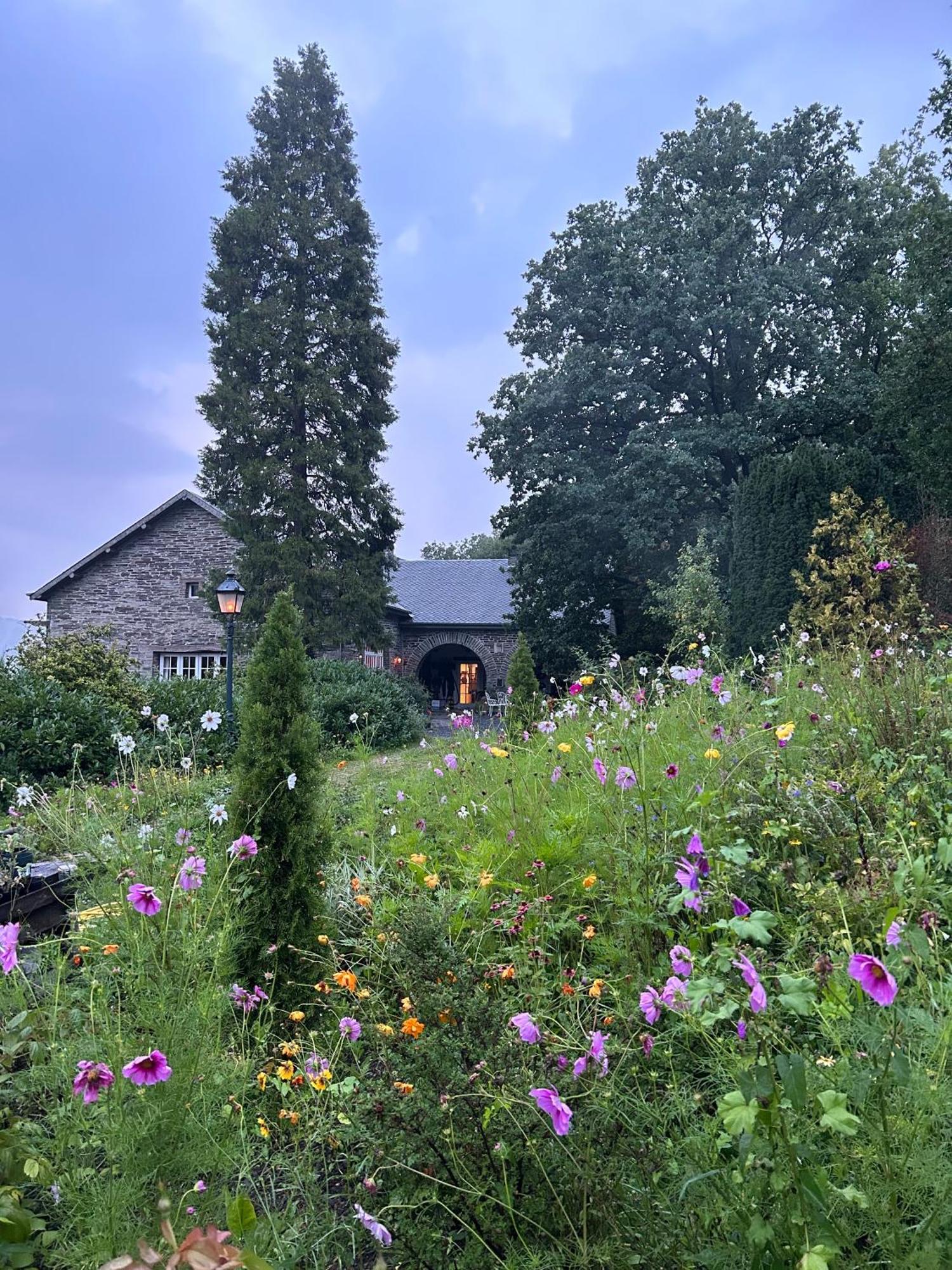 Domaine De L'Ardoisiere Villa Alle Dış mekan fotoğraf