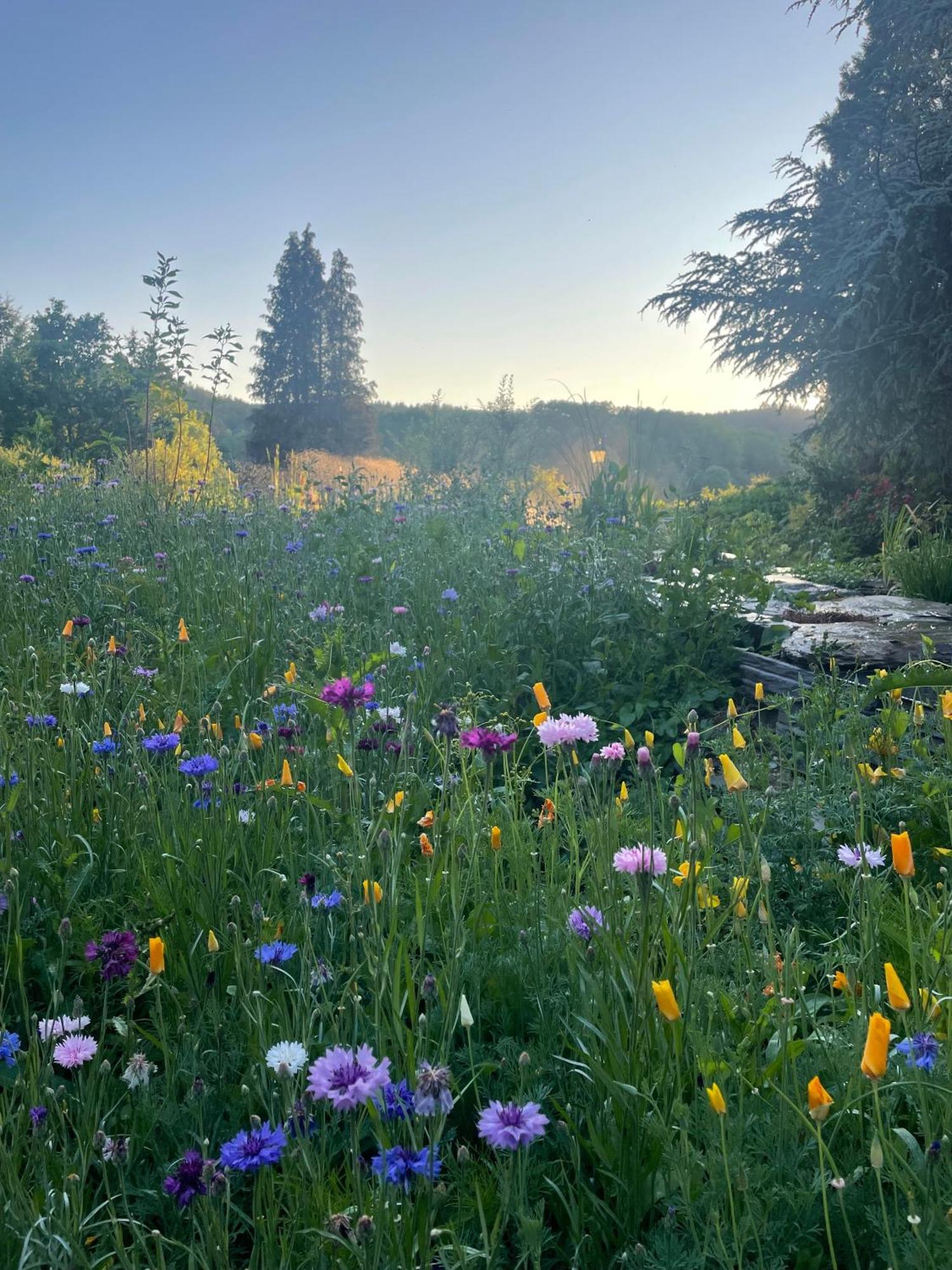 Domaine De L'Ardoisiere Villa Alle Dış mekan fotoğraf